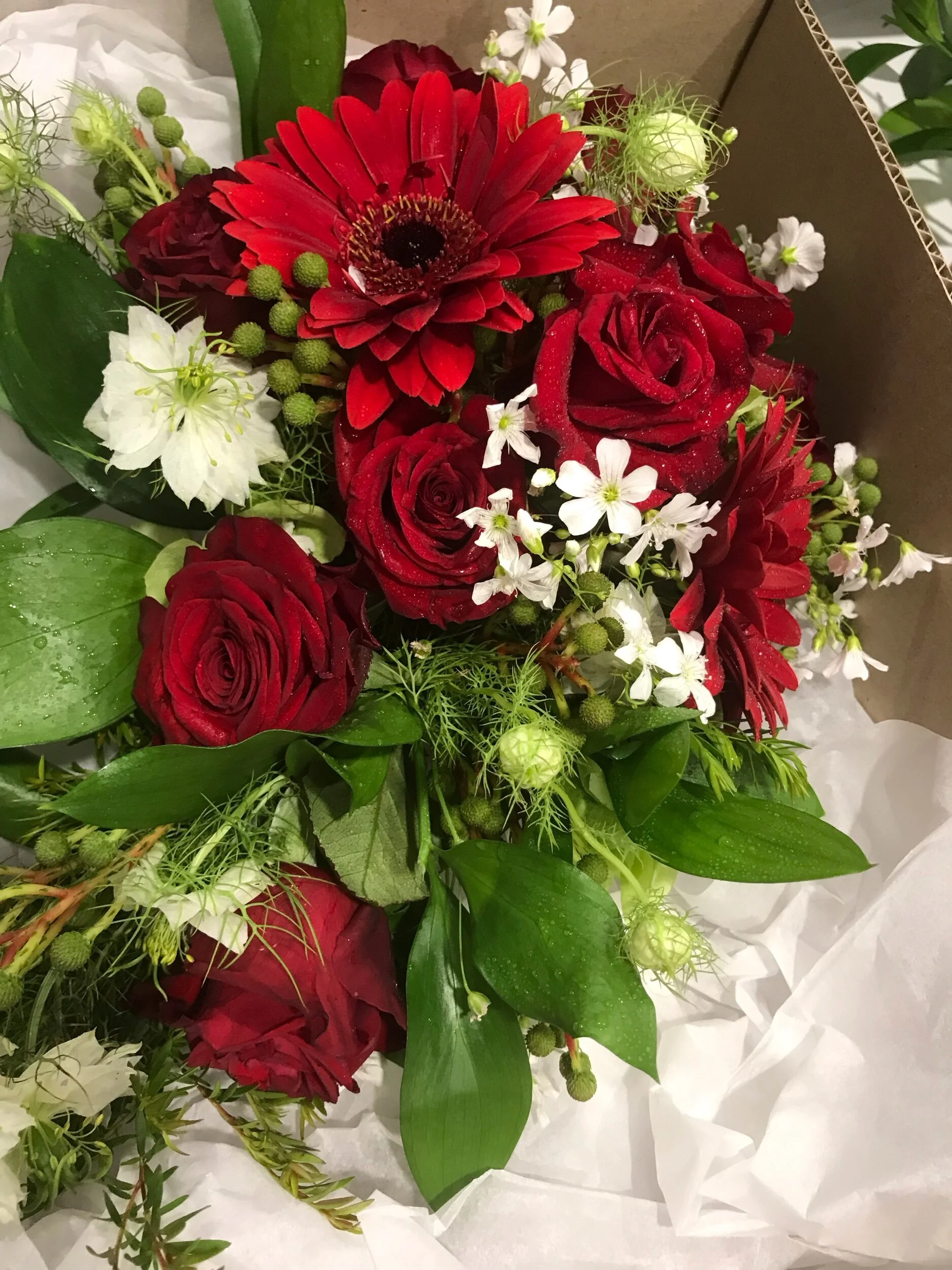 65DE87FE-8FF8-41F3-ADF3-06DC950B3DB4