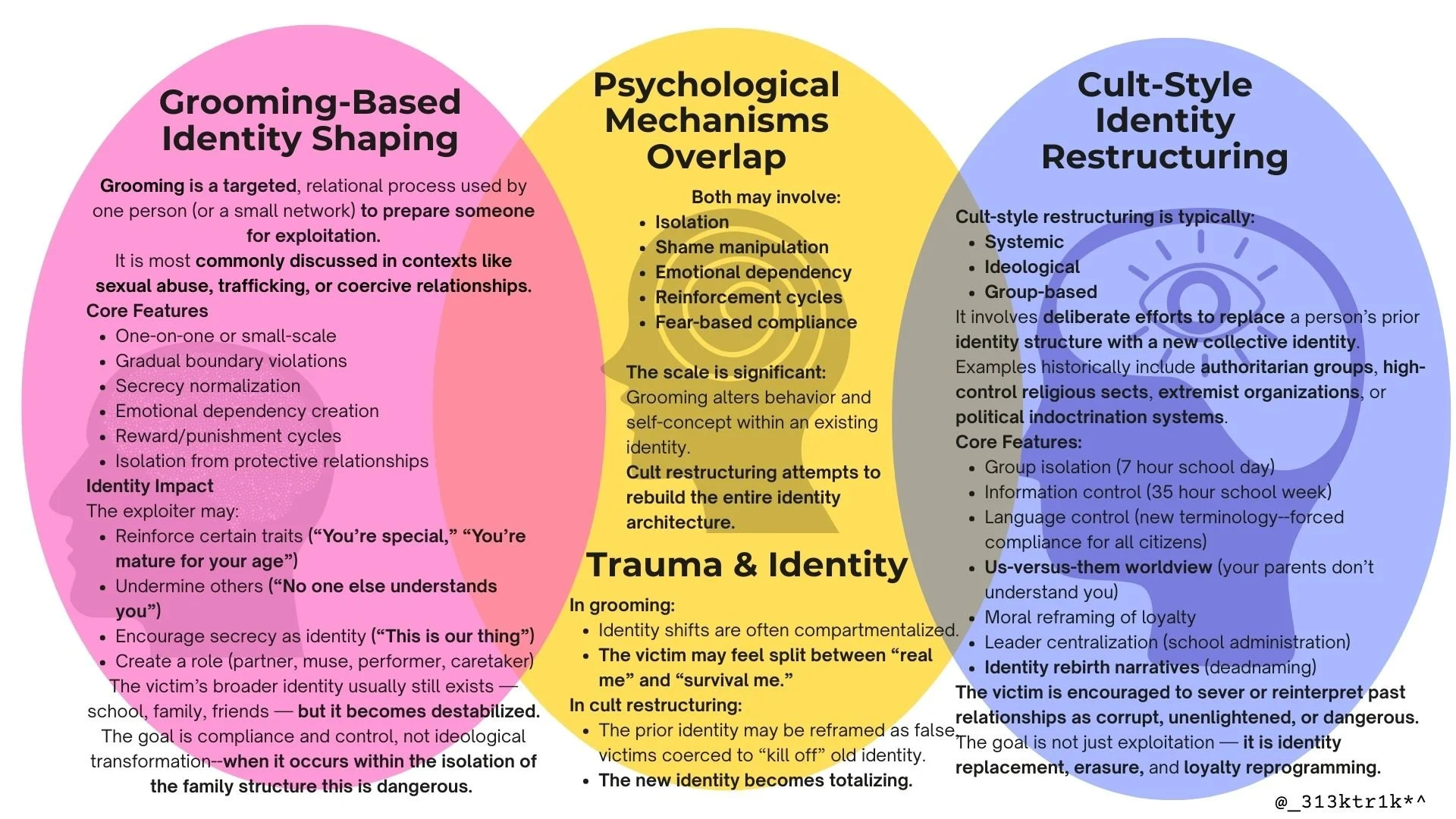 Grooming and Cult Programming.jpg