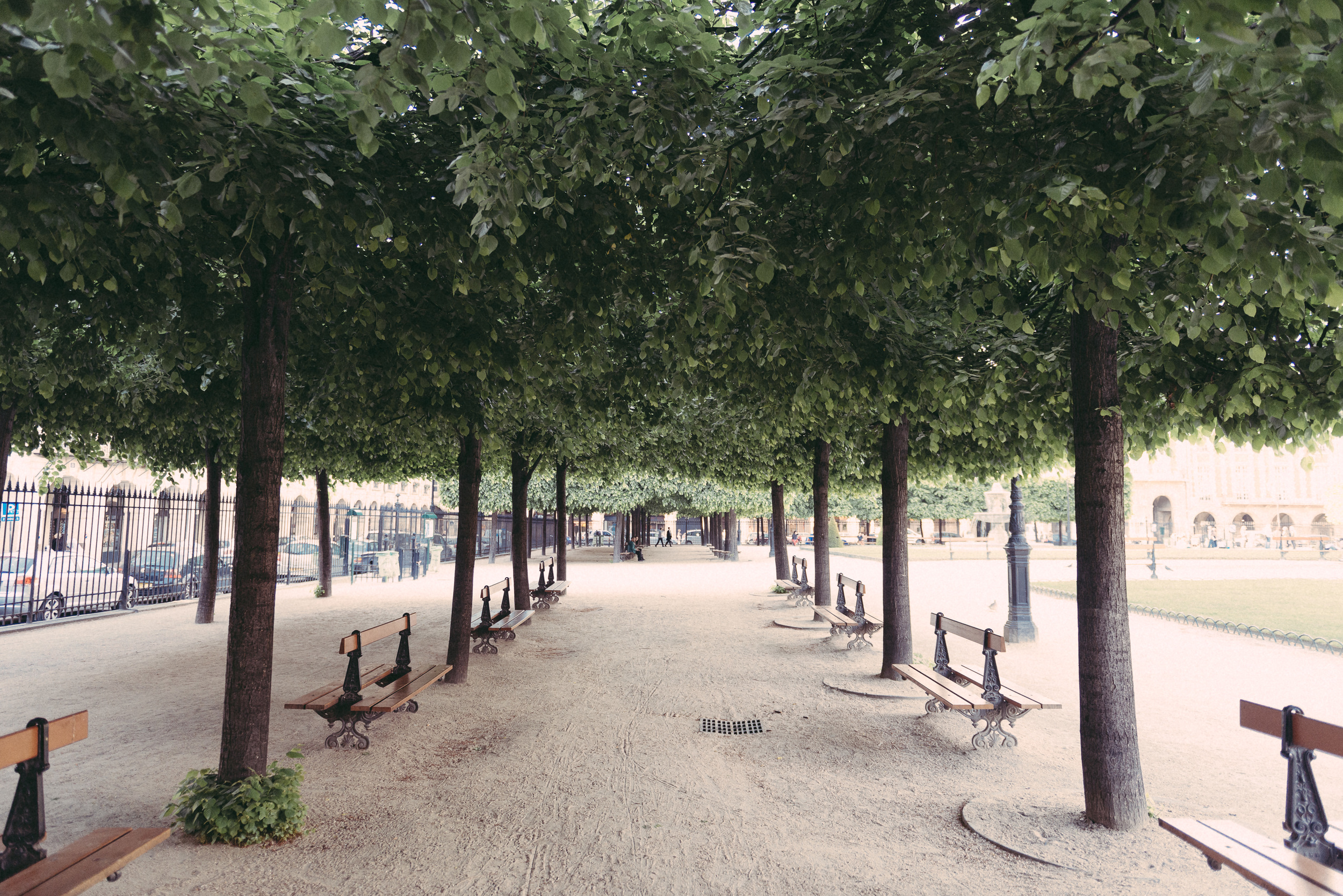 Paris-13.jpg
