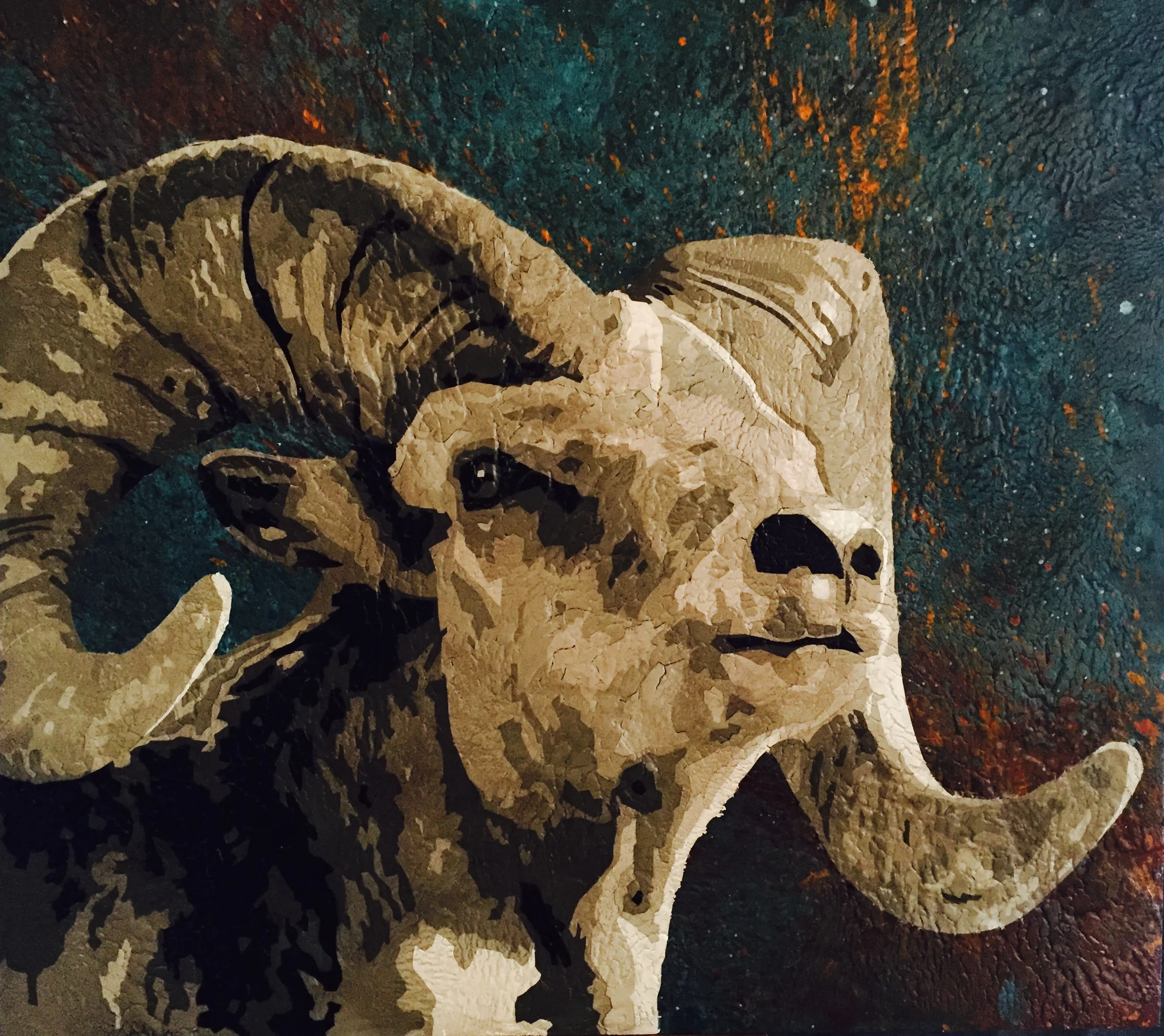 Ovis Aries 1