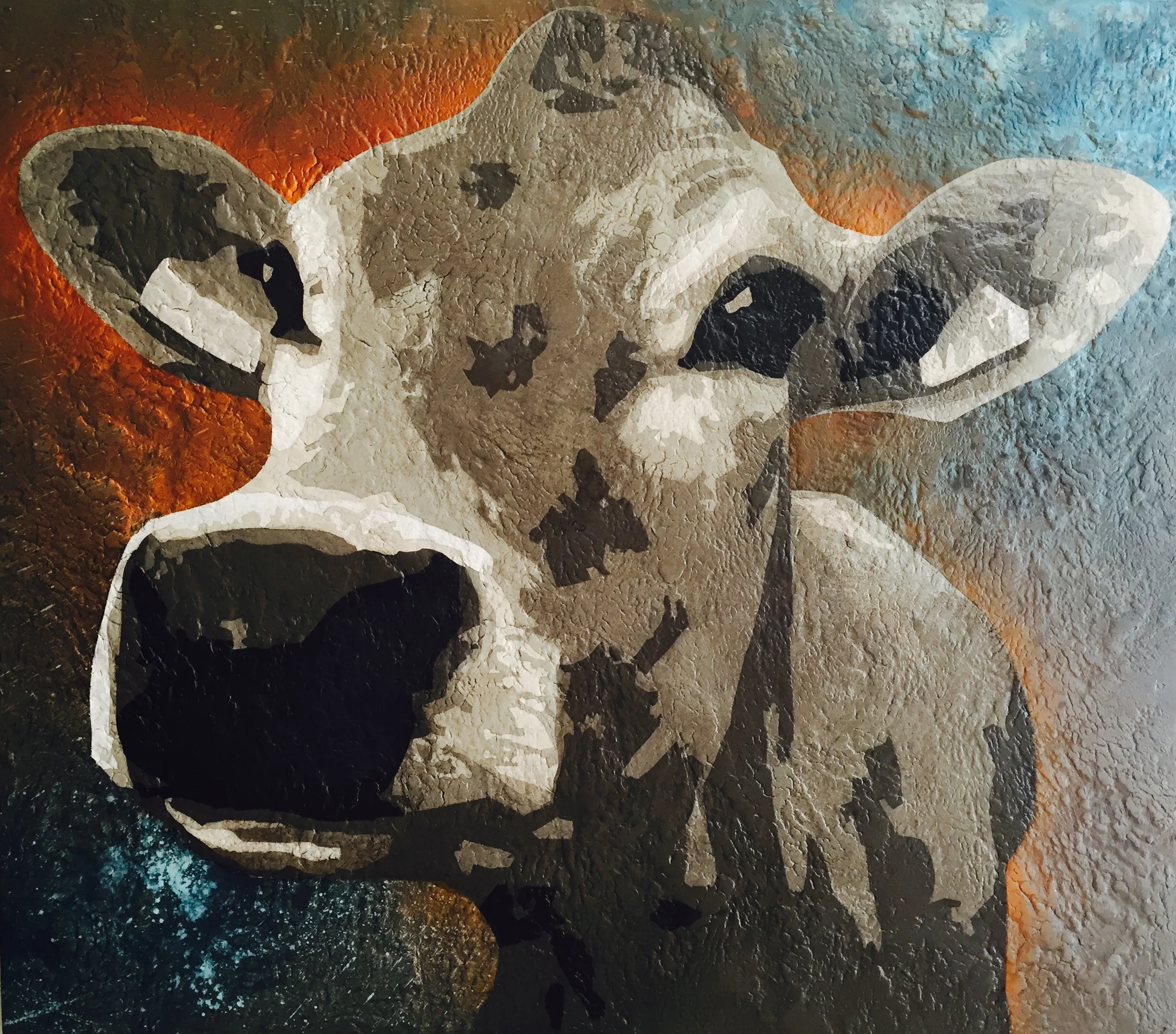 Bos Taurus 1