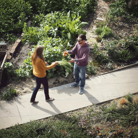 516e06a9f0b75.gif
