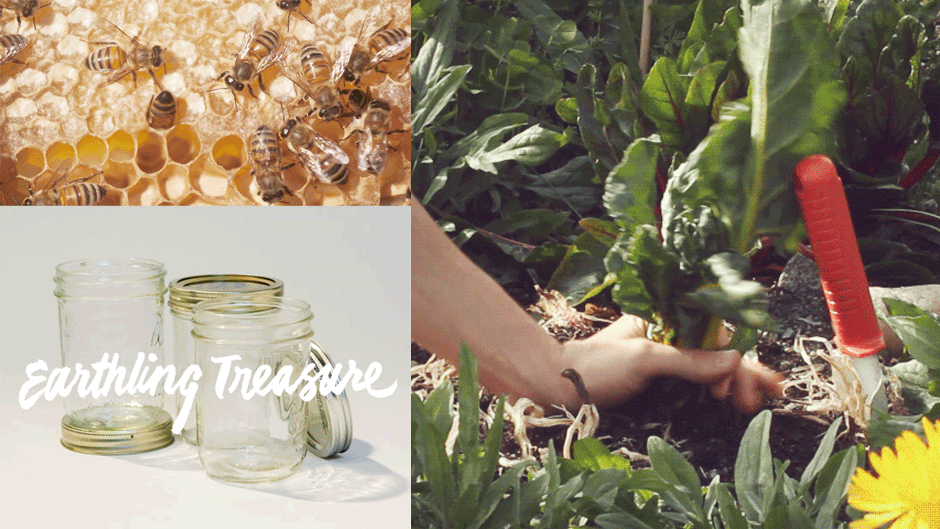 digitalkitchen_wholefoods_earthlings_3a.gif