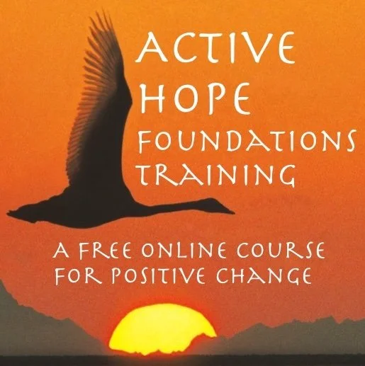 Active Hope Training & Eco Support at CMC Carbondale