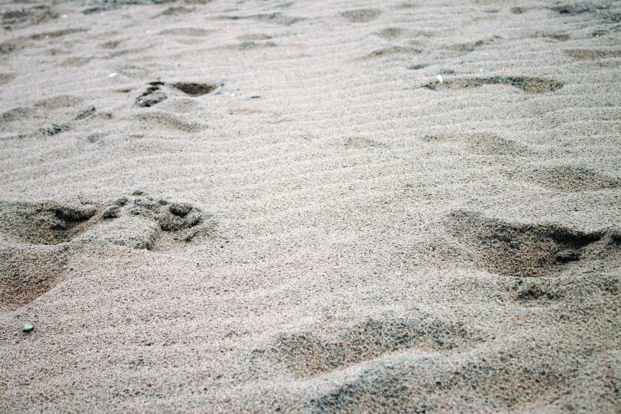 sand4.jpg