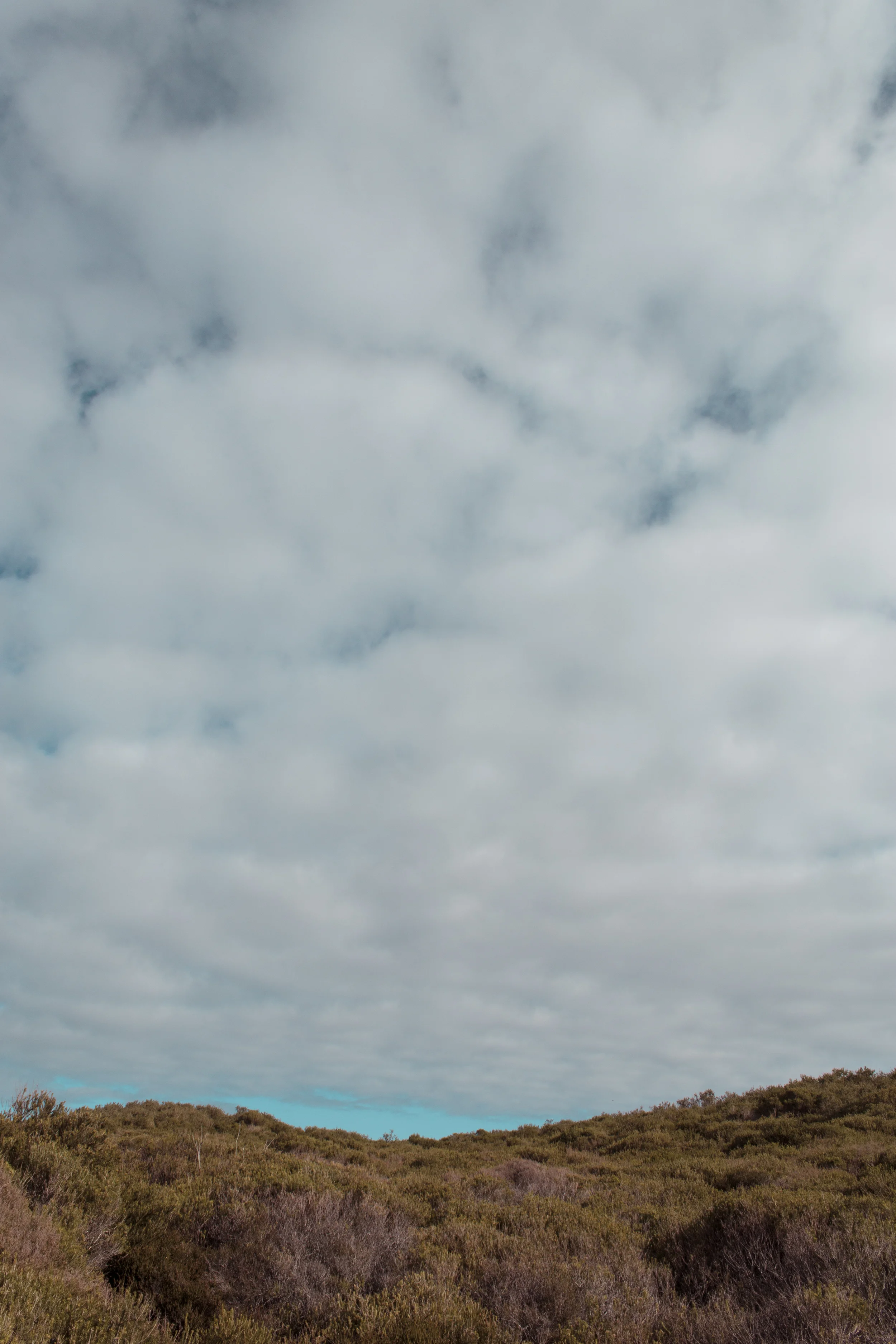 _MG_0326.jpg