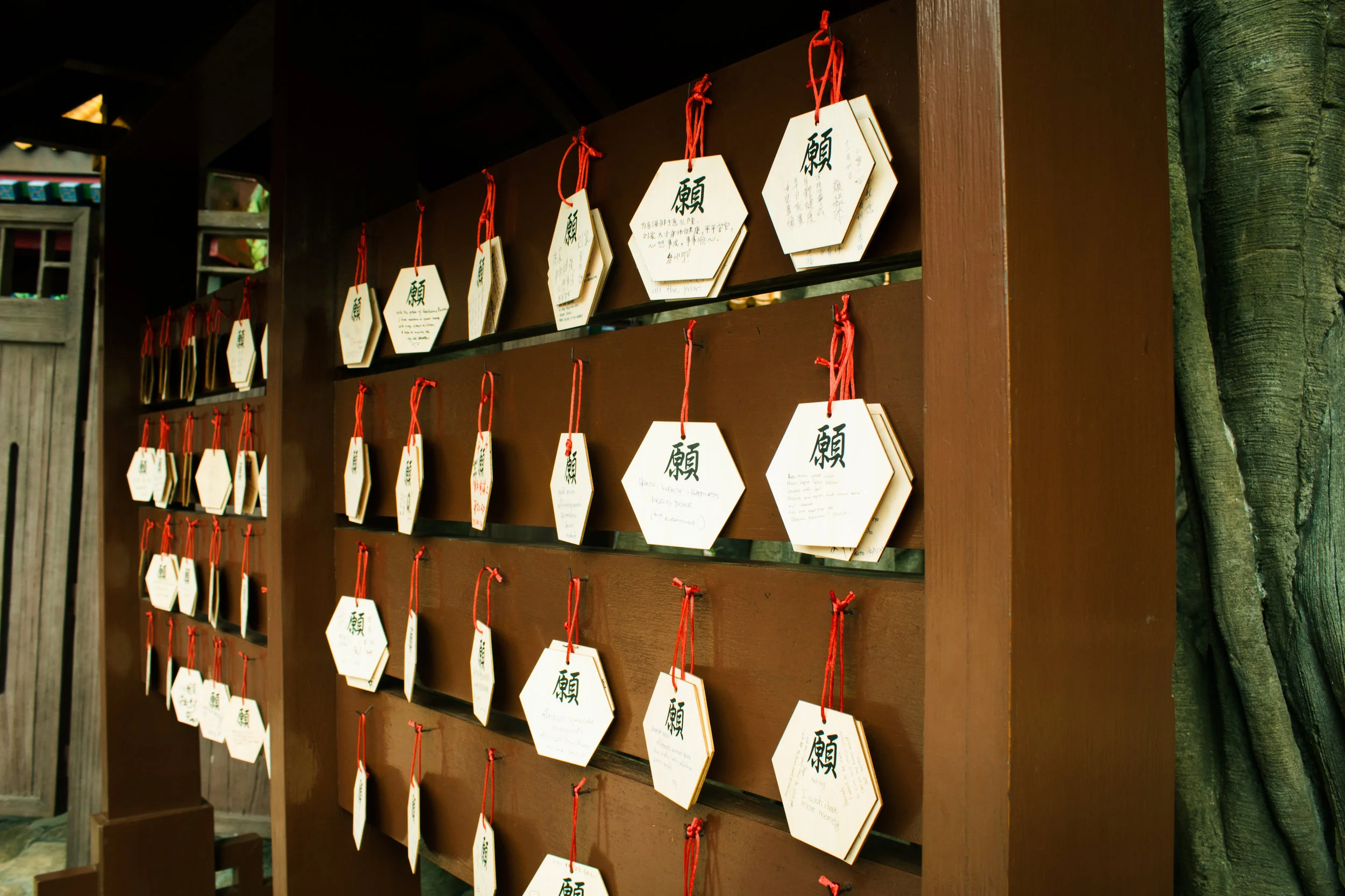 Hong Kong_MG_5276.jpg