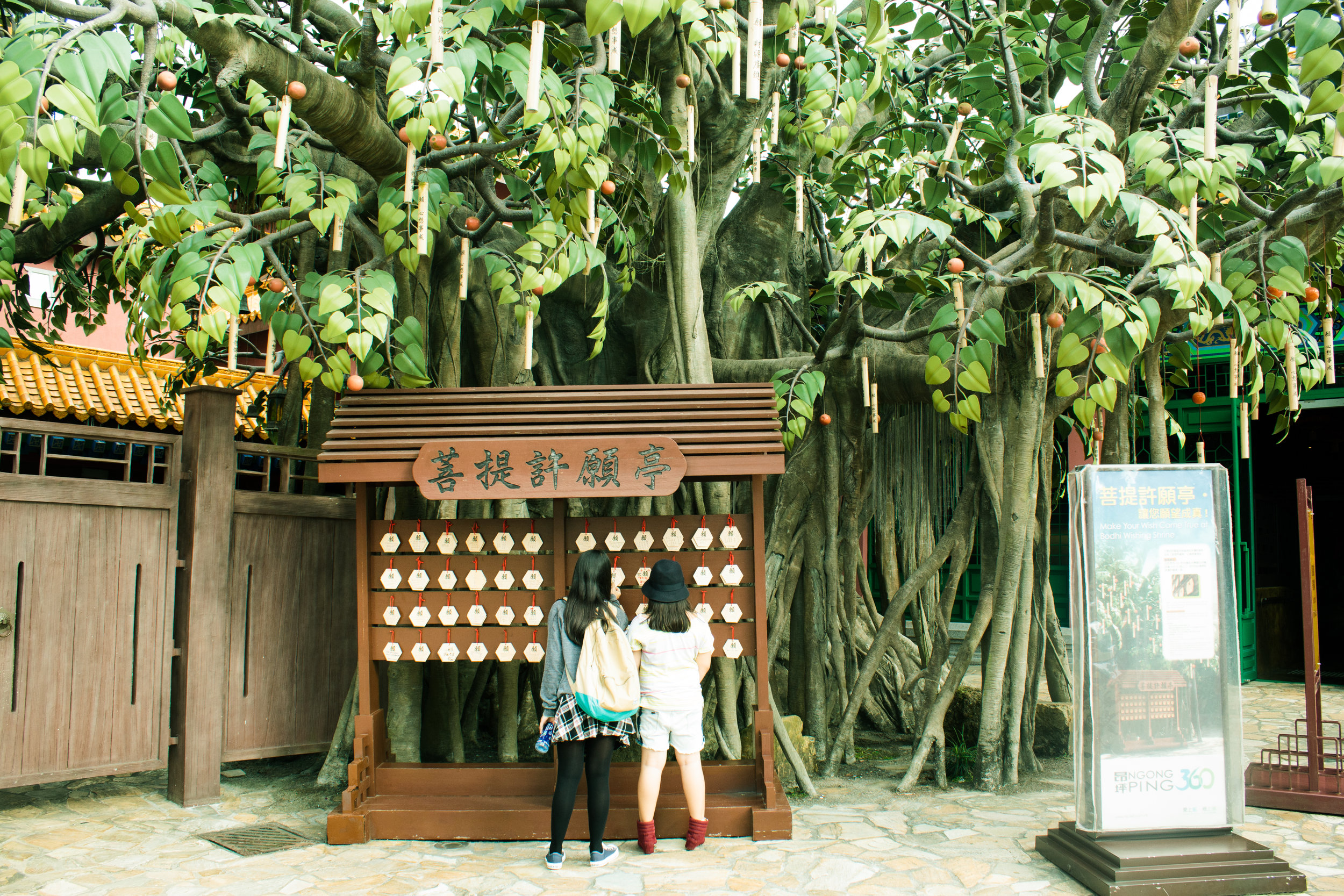 Hong Kong_MG_5280.jpg