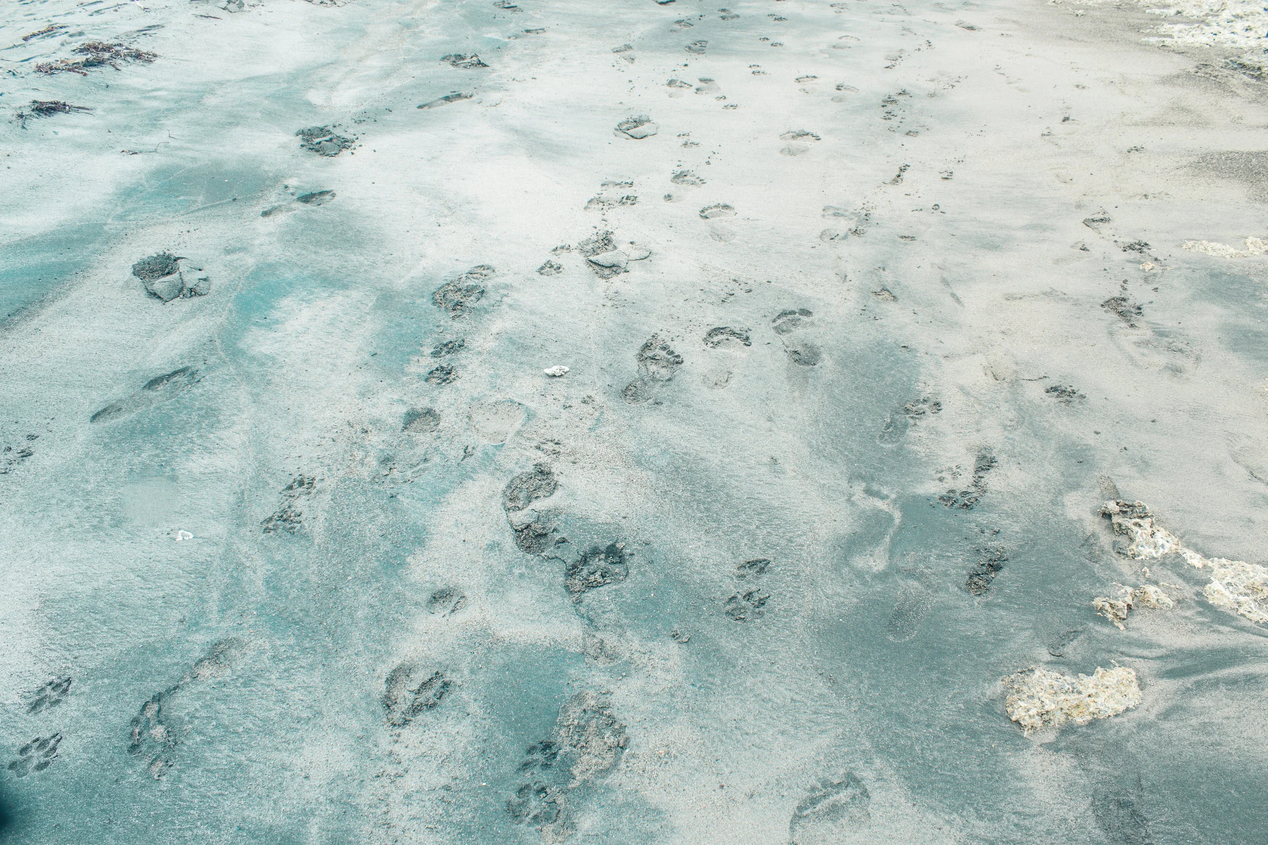 LU Chill_MG_6591.jpg