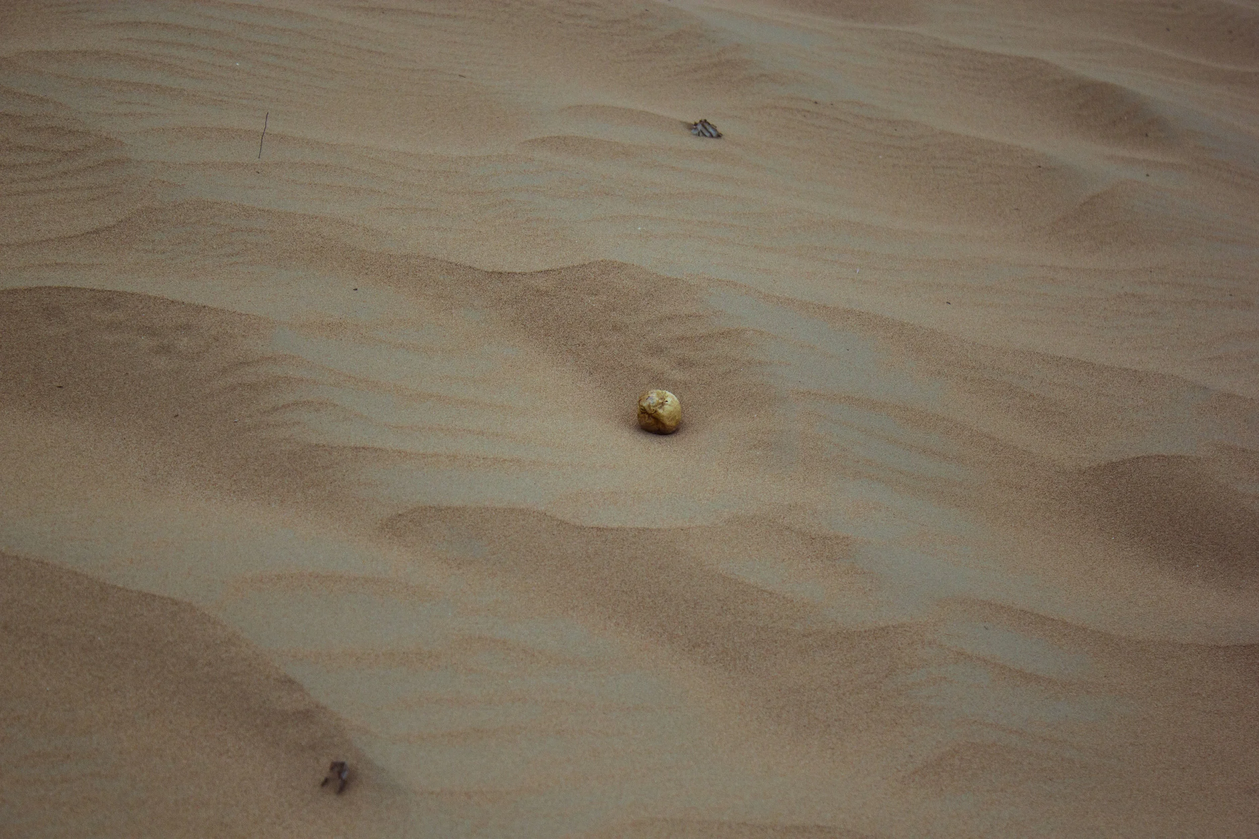 Dubai 2016_MG_8922.jpg