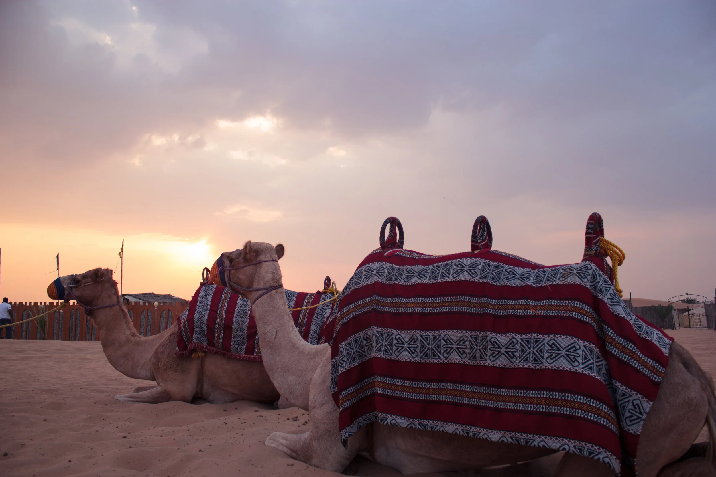 Dubai 2016_MG_8865.jpg