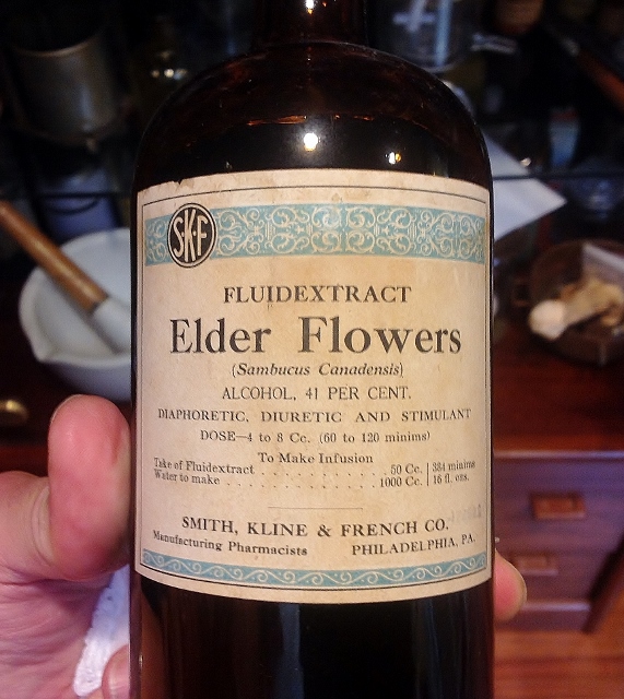 Elder Flower extract