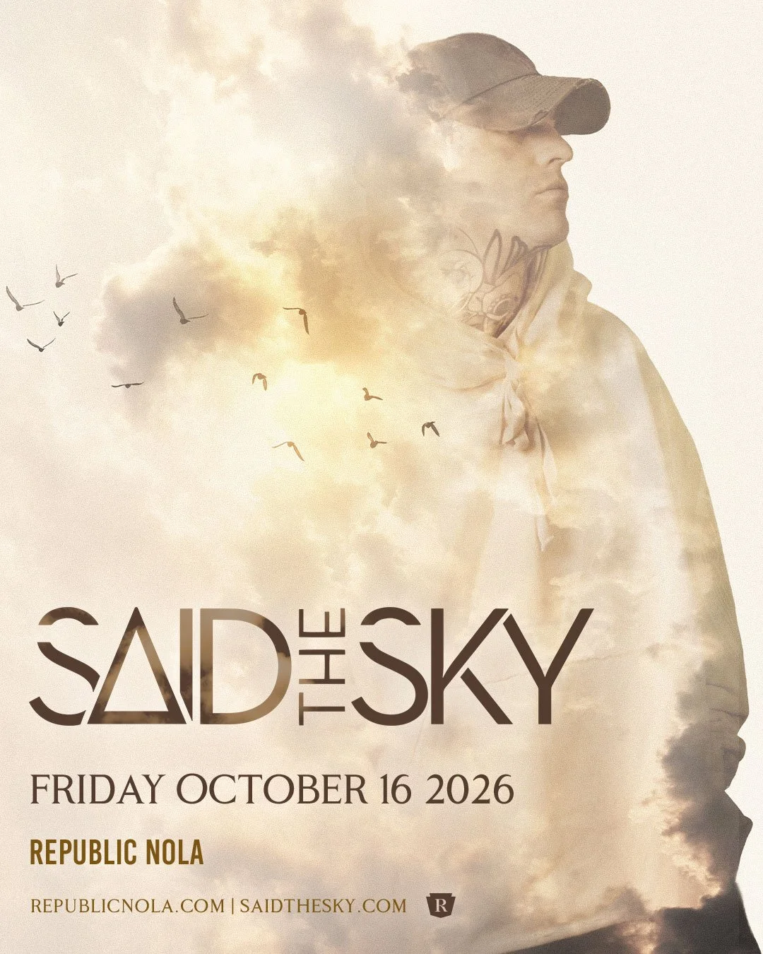Said The Sky