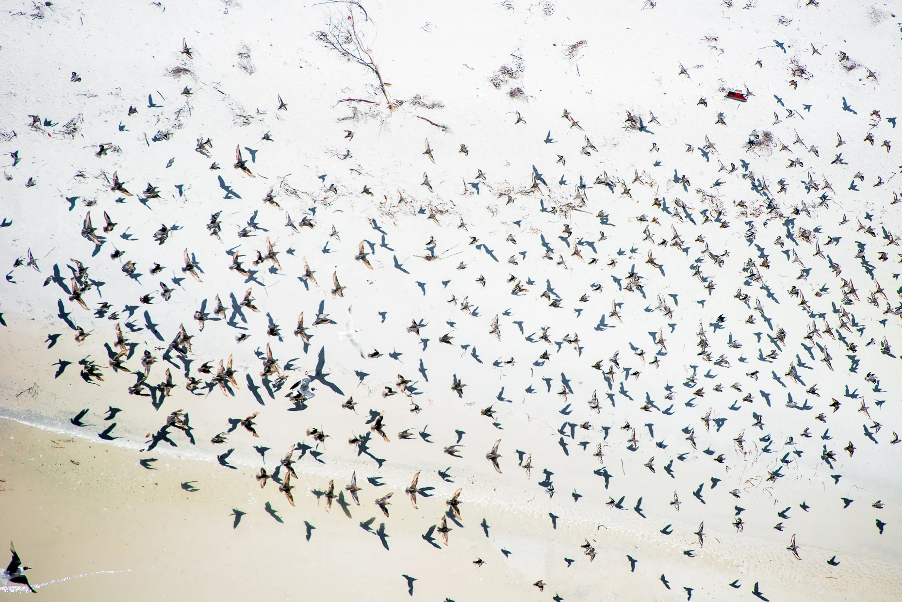 AERIALS+LOCK+LAND+CHIP+LITHERLAND+0029.jpg