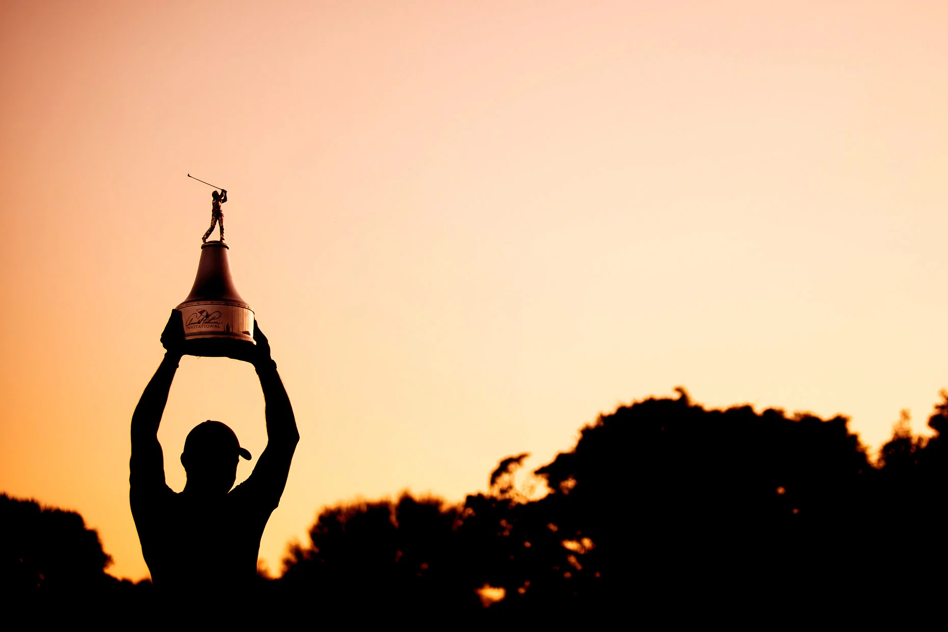 tiger, rory, and a lot of birdies