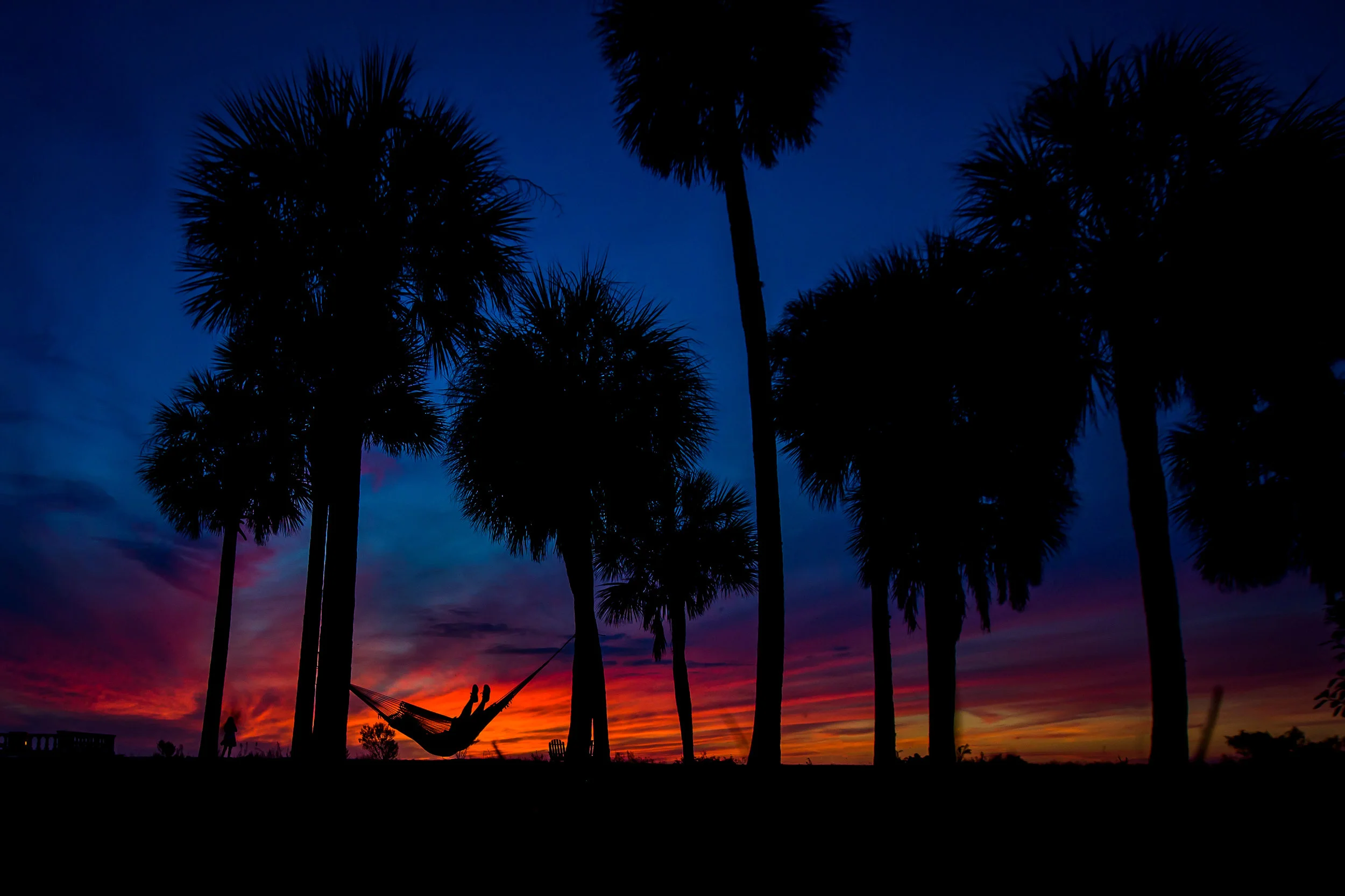 2016.10.27_NEWCOLLEGEOFFLORIDA_CLASSES_190.jpg