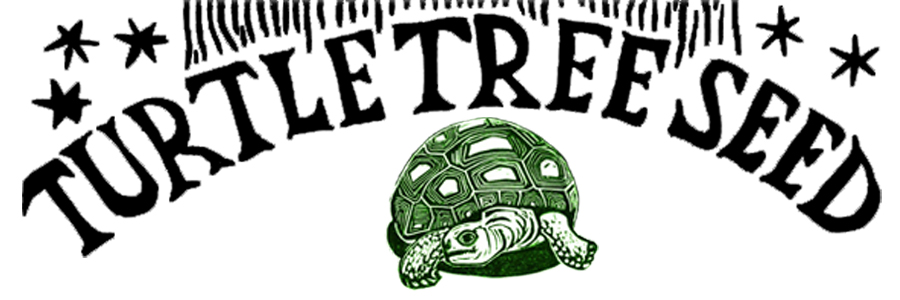 TurtleTreeSeedLogo900x3001.jpg