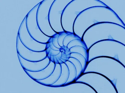 Estar de pie, sentarse y caminar