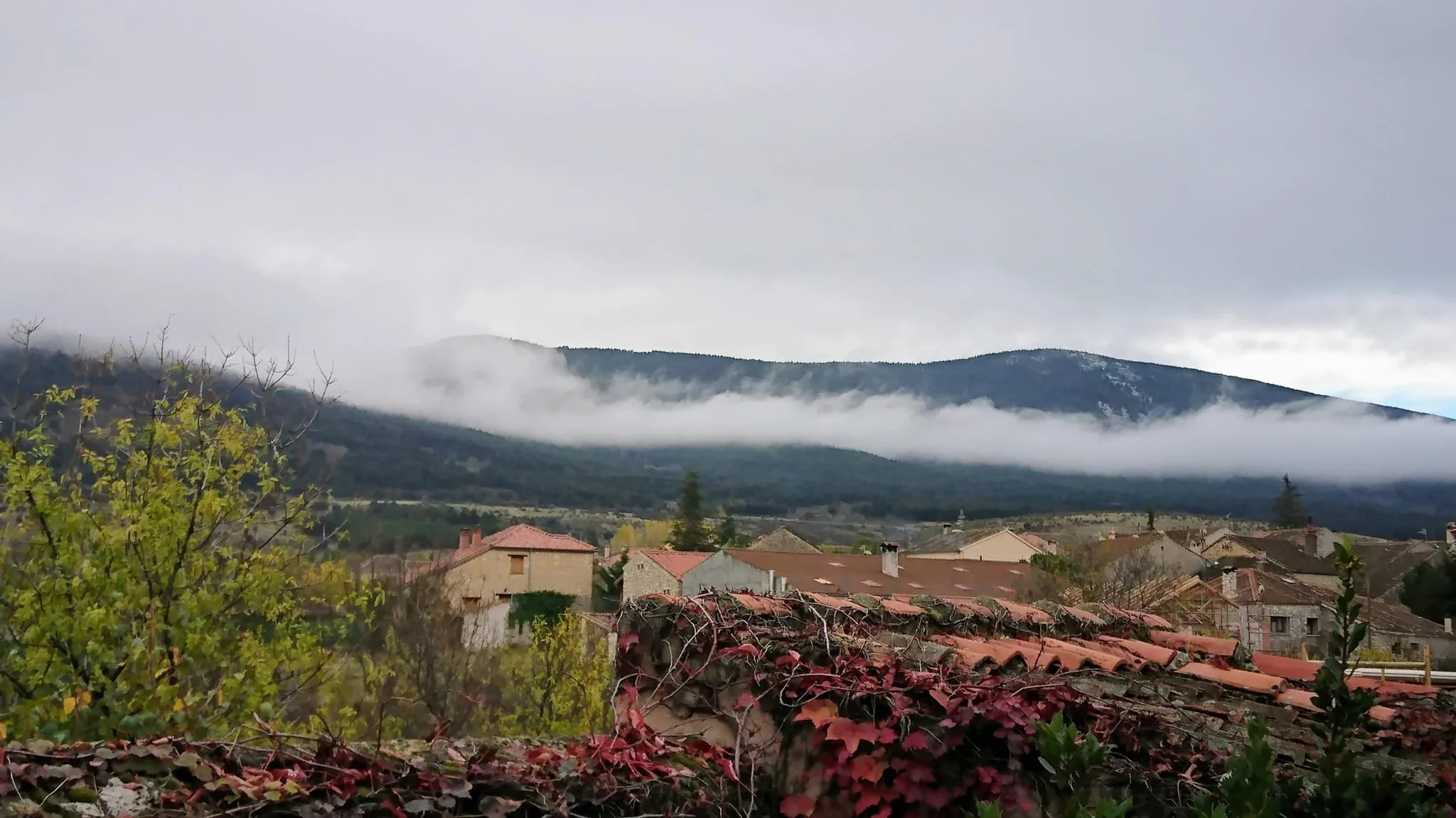 Yoga en la naturaleza