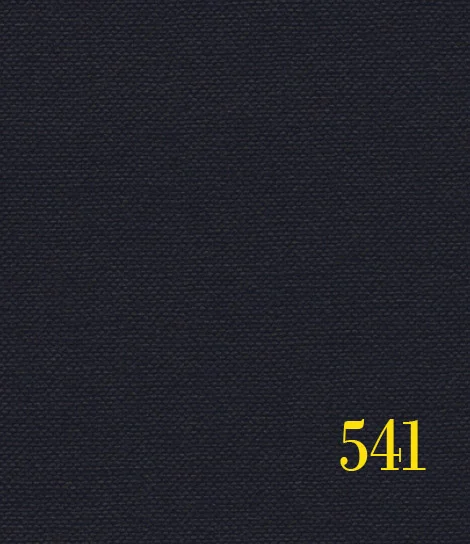 blue 541.jpg