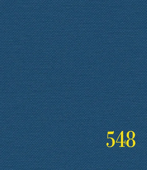 blue 548.jpg