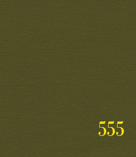 green 555.jpg