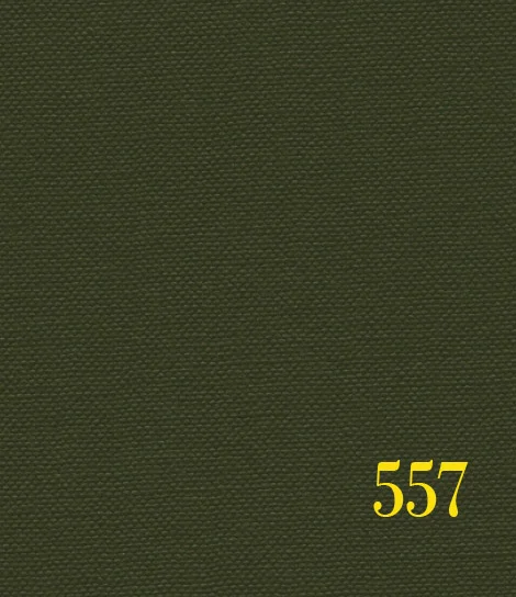 green 557.jpg