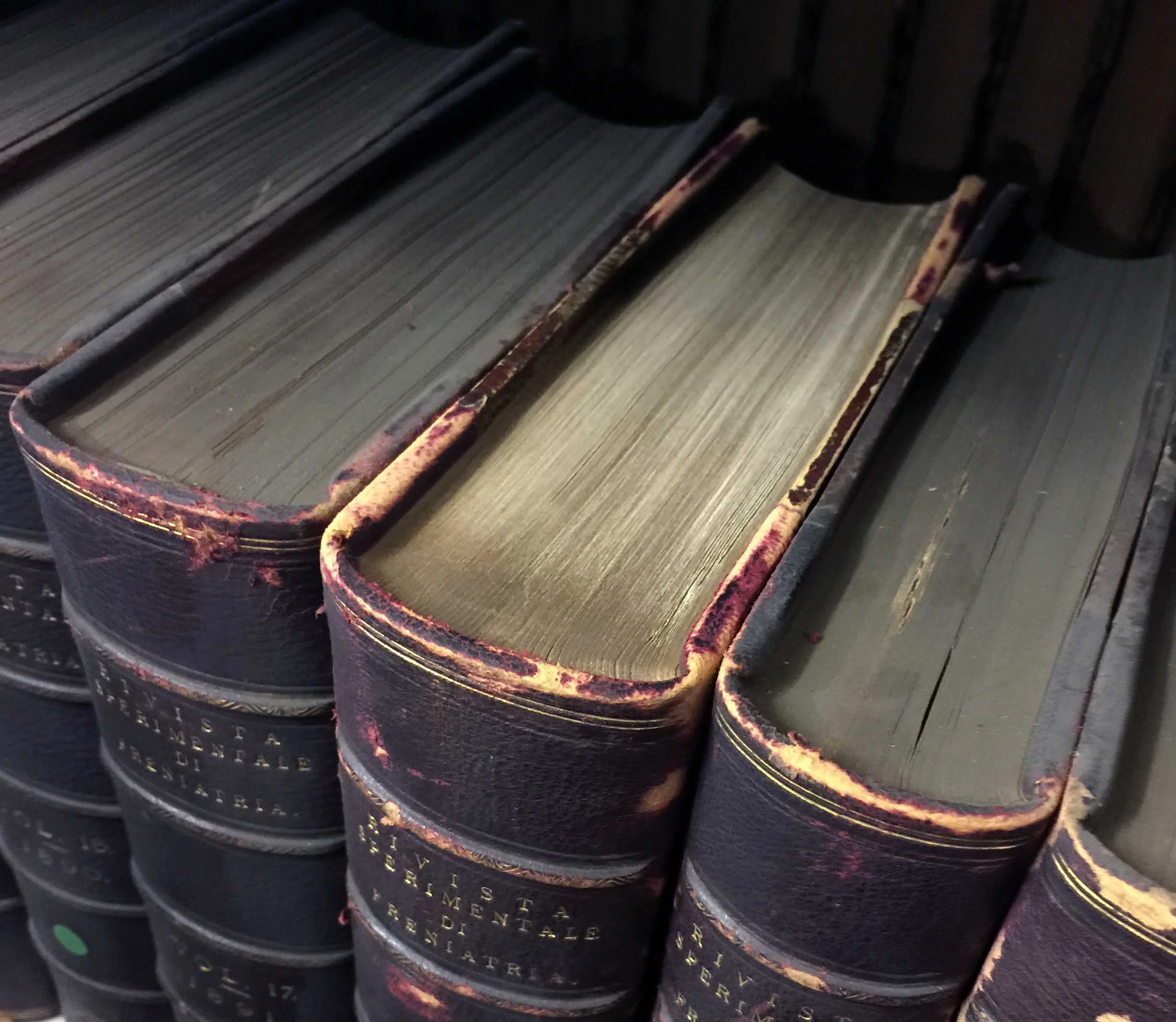 Before and After cleaned book.jpg