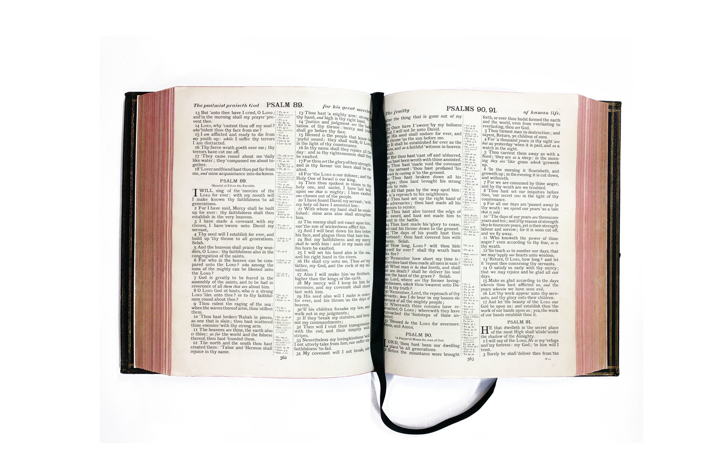 Bible - full - after.jpg