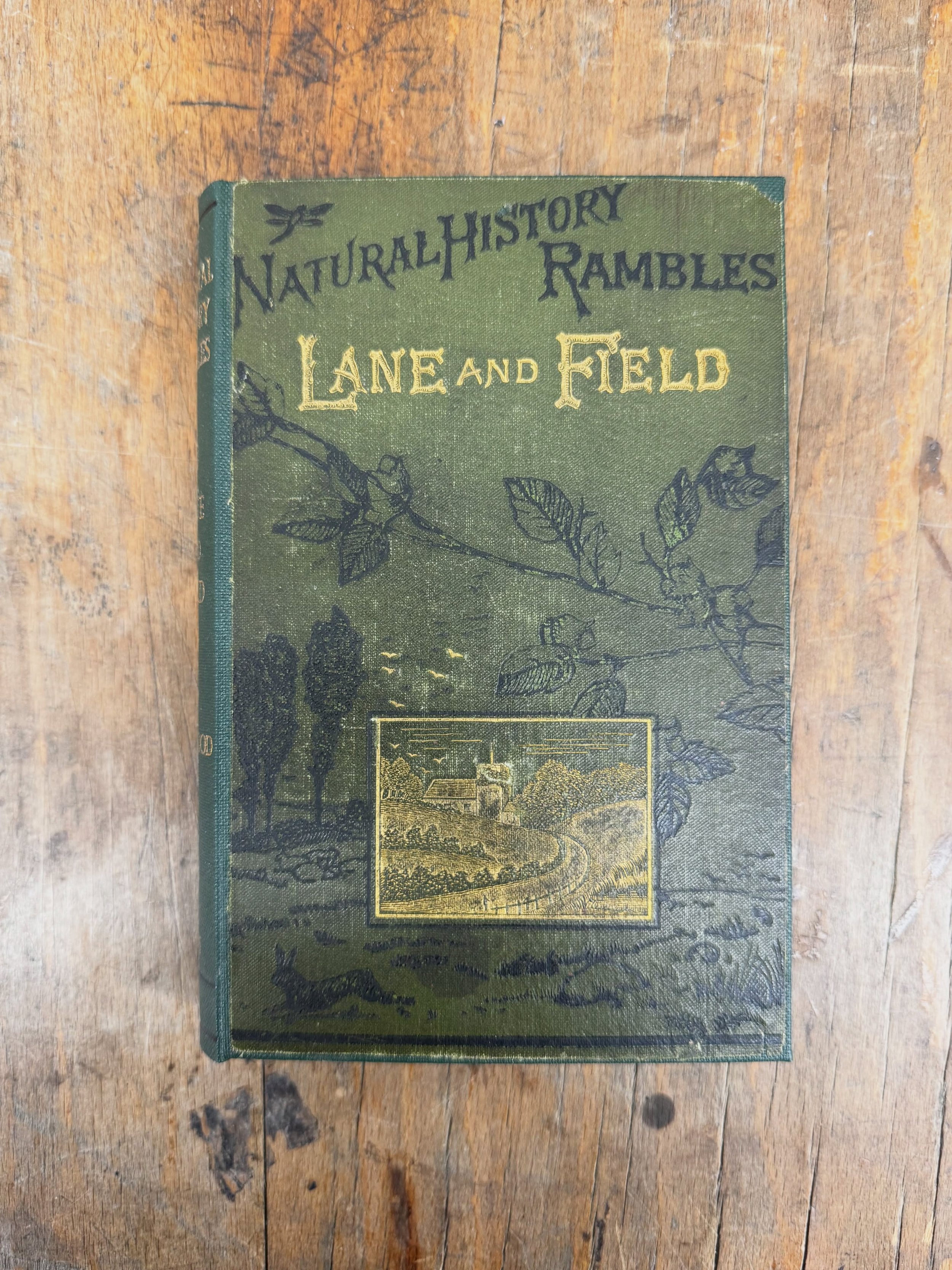 We love it when the history of a book is so apparent and in this library restoration all the previous borrowing has now been preserved. 

#bookrestoration #archivalbooks