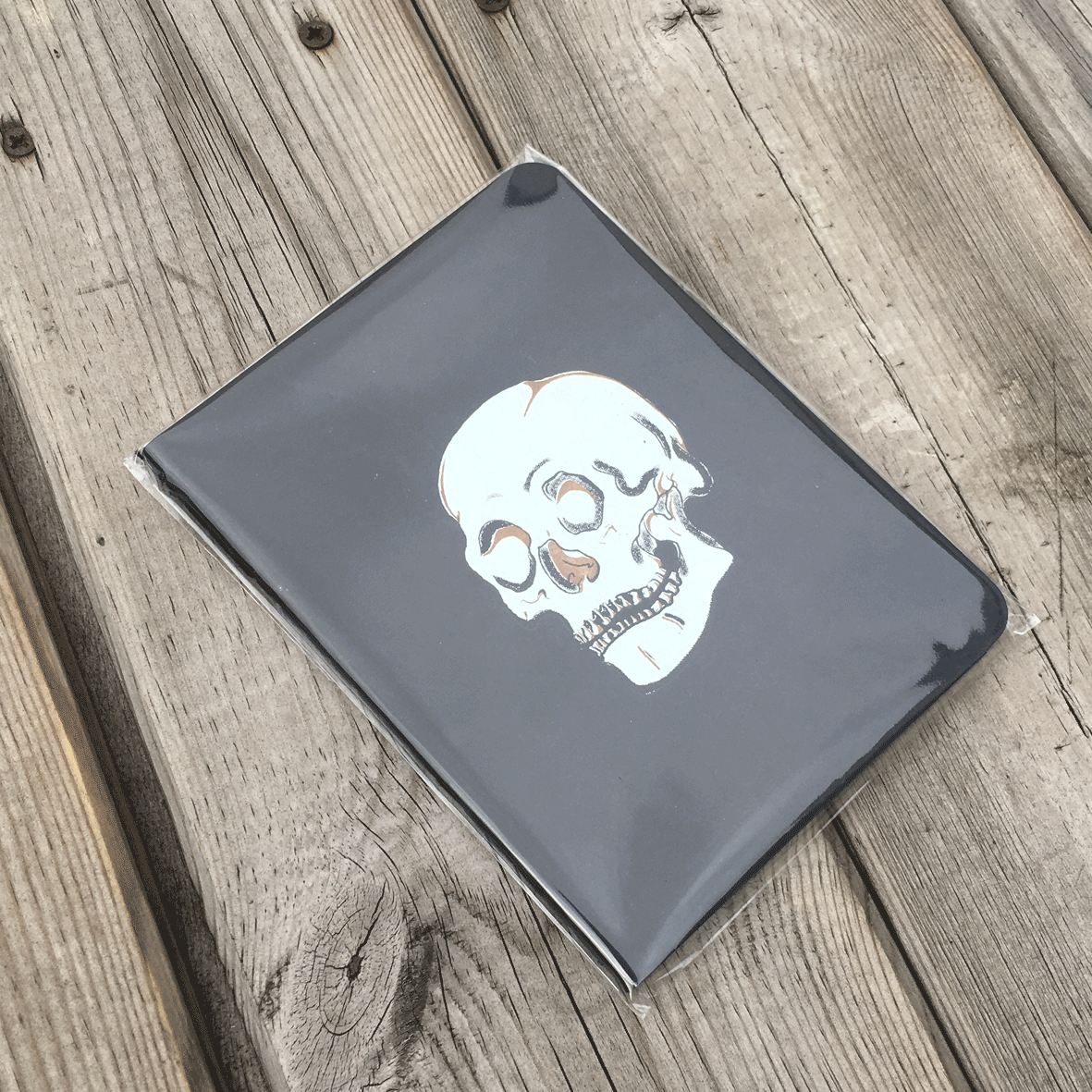 Skull Notebook #1-#4