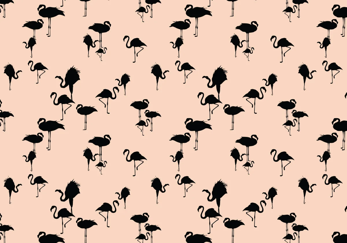 magdalenaares-flamingos.jpg