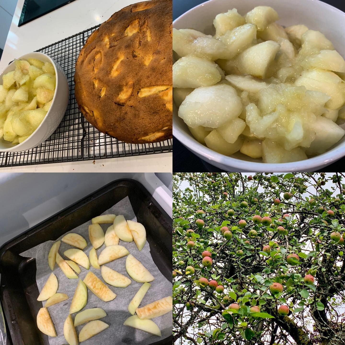 So many 🍎 🍏!! We&rsquo;ve had a bumper crop this year, so it&rsquo;s time to bake! 
Italian apple cake, stewed apple in preparation for pie, and then some frozen for future. (Wasn&rsquo;t quick enough to escape the browning tho!) 
I need more inspi