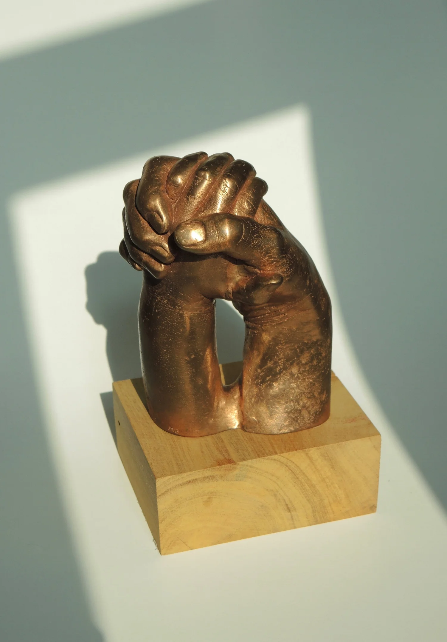 DSCN7610.jpg