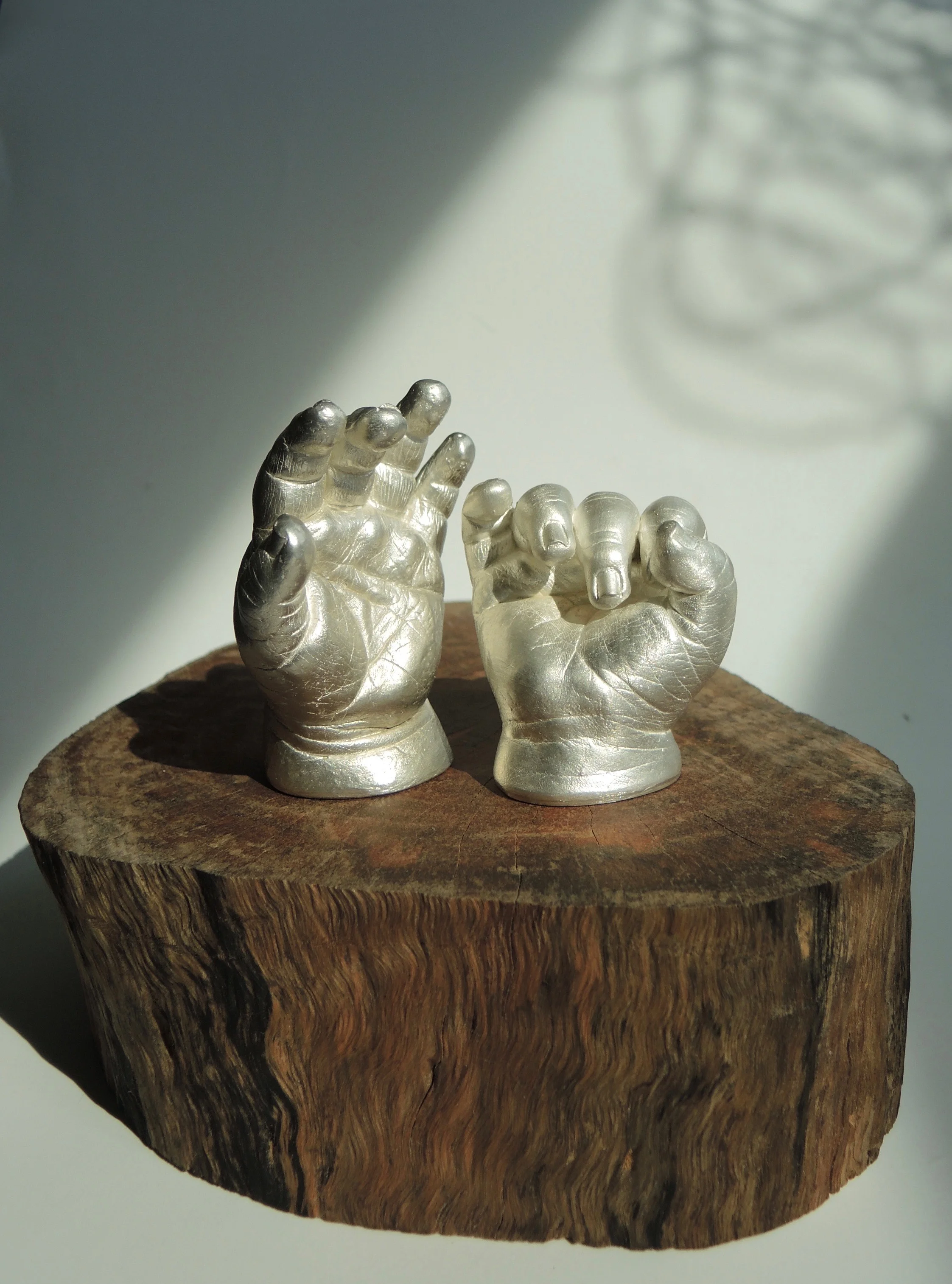 DSCN1520.jpg