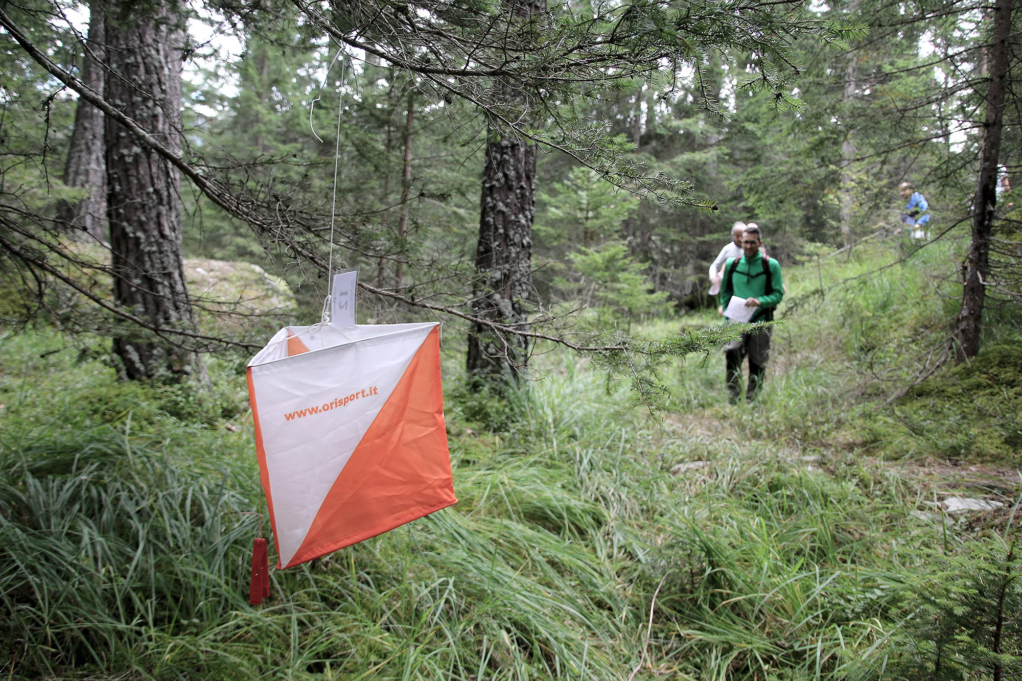 Orienteering