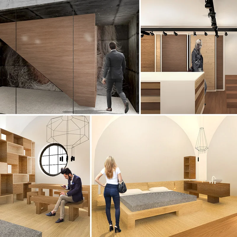 Case History - showroom (II)