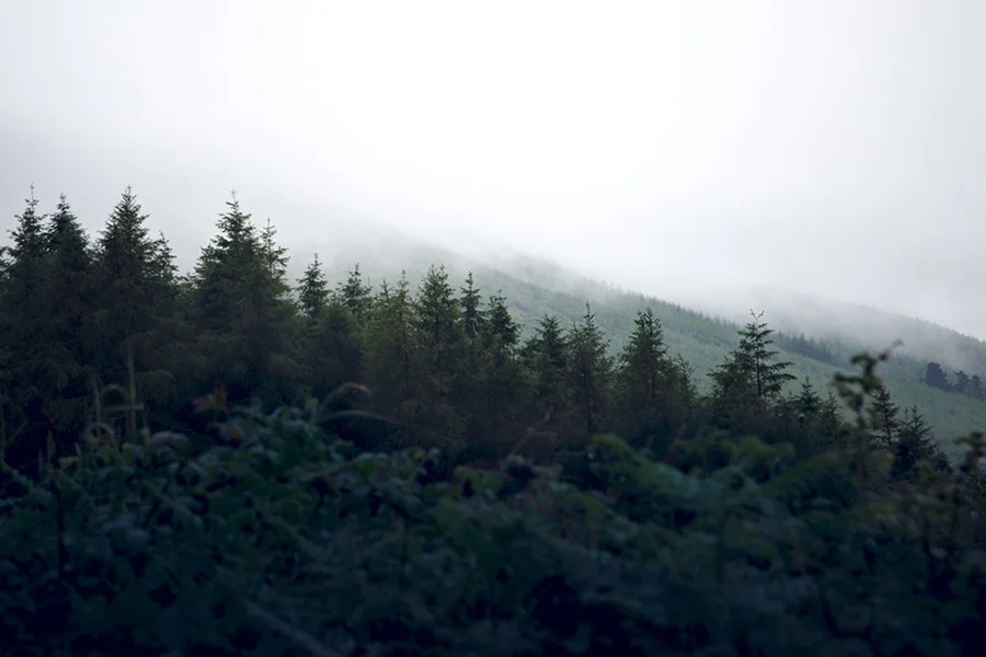 a3954527826_10.jpg