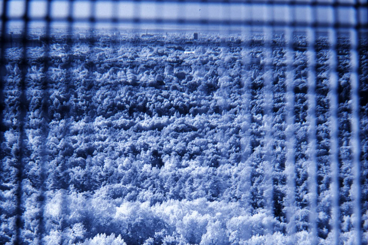 a2125795646_10.jpg