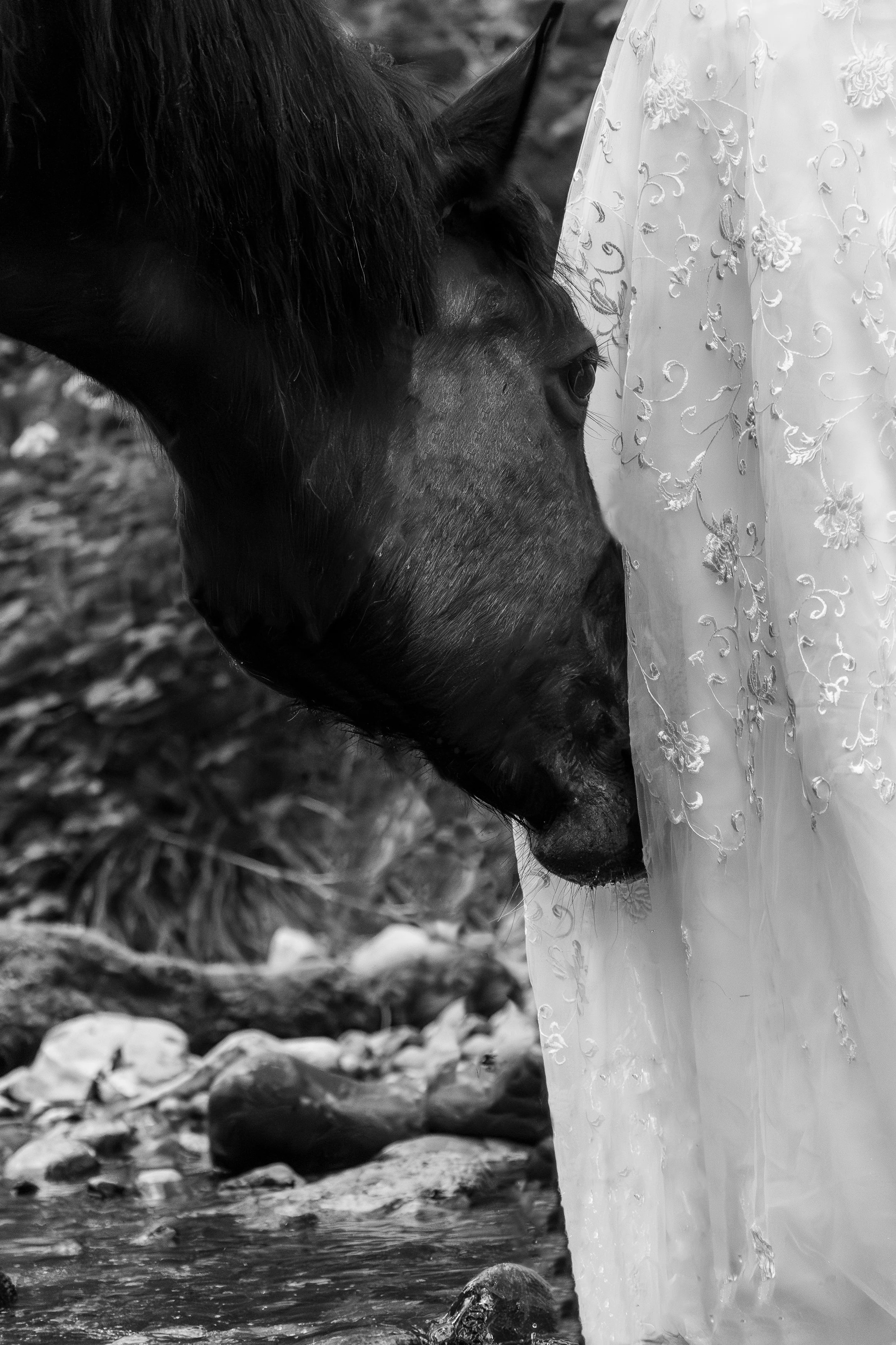 MarieMonodPhotographe_Jane_selection-08.jpg