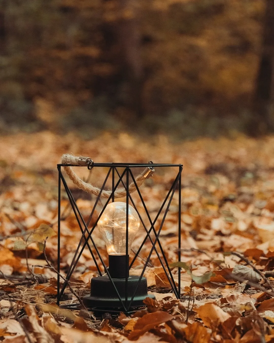 Anecdote du vendredi soir, bonsoiiiiir!
(Oui, je l&rsquo;ai faite, fallait pas que je perde ma job 😅)

Je remarque que je fonctionne par cycles &mdash; peut-&ecirc;tre toi aussi?

J&rsquo;ai des phases de cr&eacute;ativit&eacute; intense : des id&ea