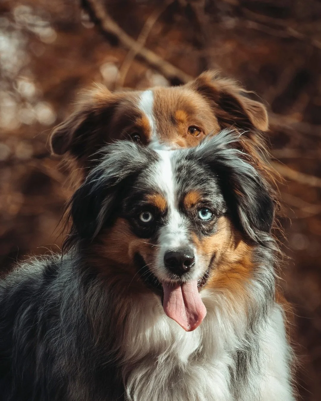 Tu vois cette photo? Ce n&rsquo;est pas juste une photo...

C&rsquo;est une photo que j&rsquo;ai envoy&eacute; avant m&ecirc;me d&rsquo;avoir termin&eacute; l&rsquo;ensemble de la s&eacute;ance. Pourquoi? Parce qu&rsquo;en discutant avec ma cliente, 