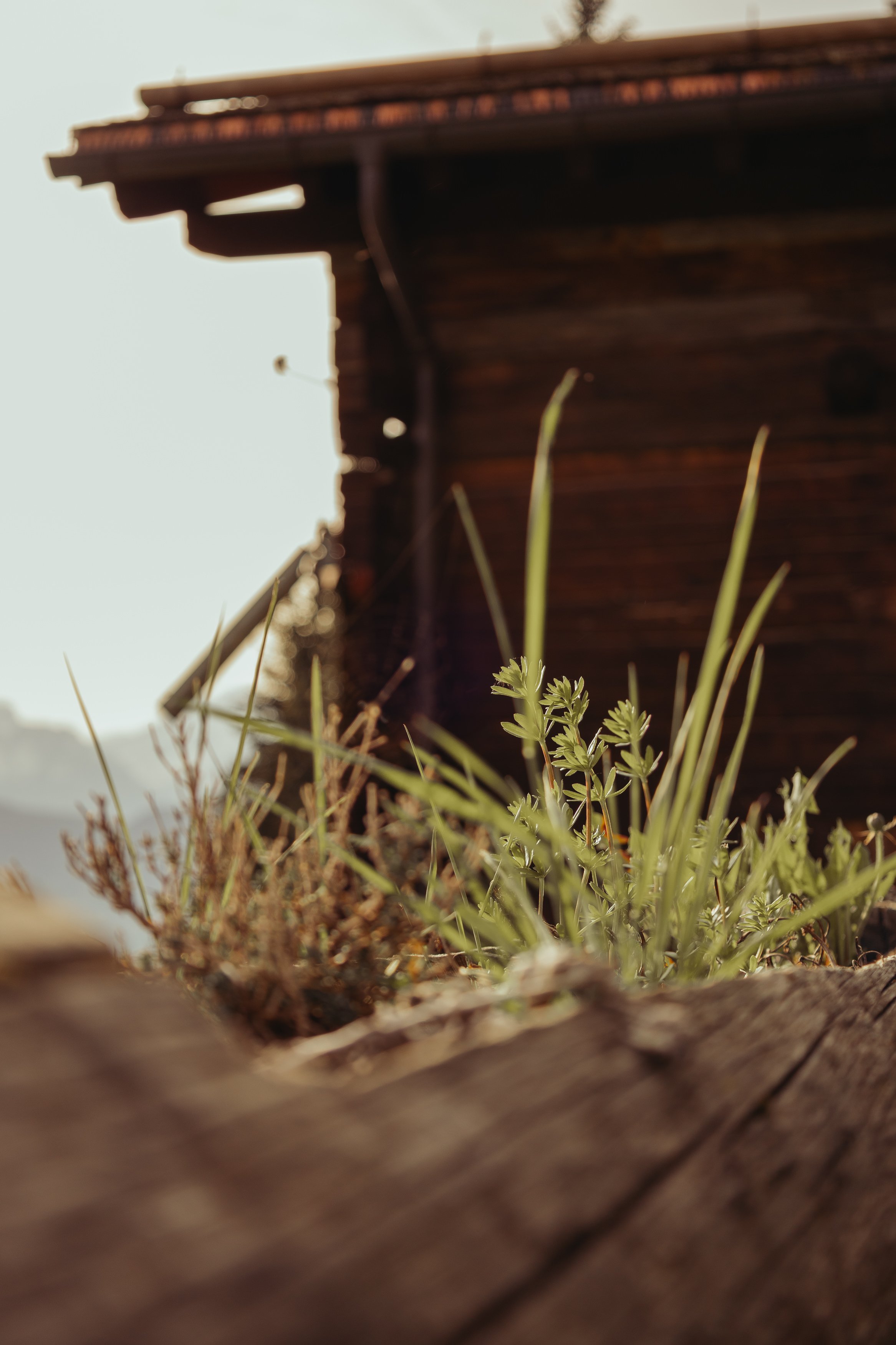 MarieMonod_PhotographedEmotions_MelissaEtColin_29.jpg