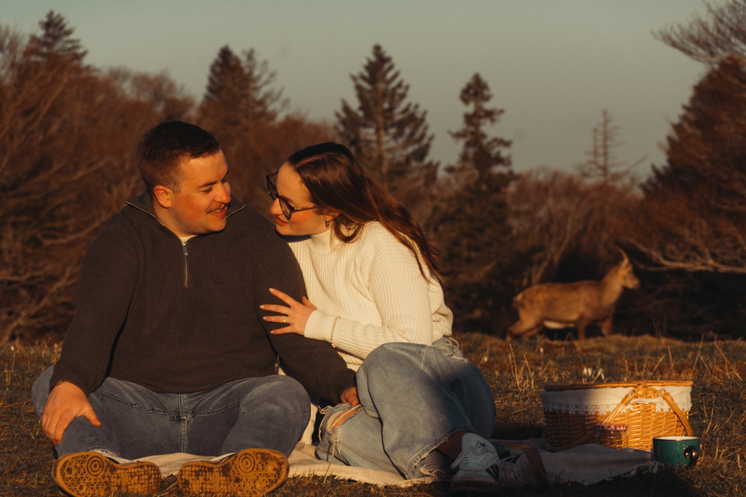 Un couple assis dans la nature lors d'un coucher de soleil, partageant un moment d'intimité et de bonheur.