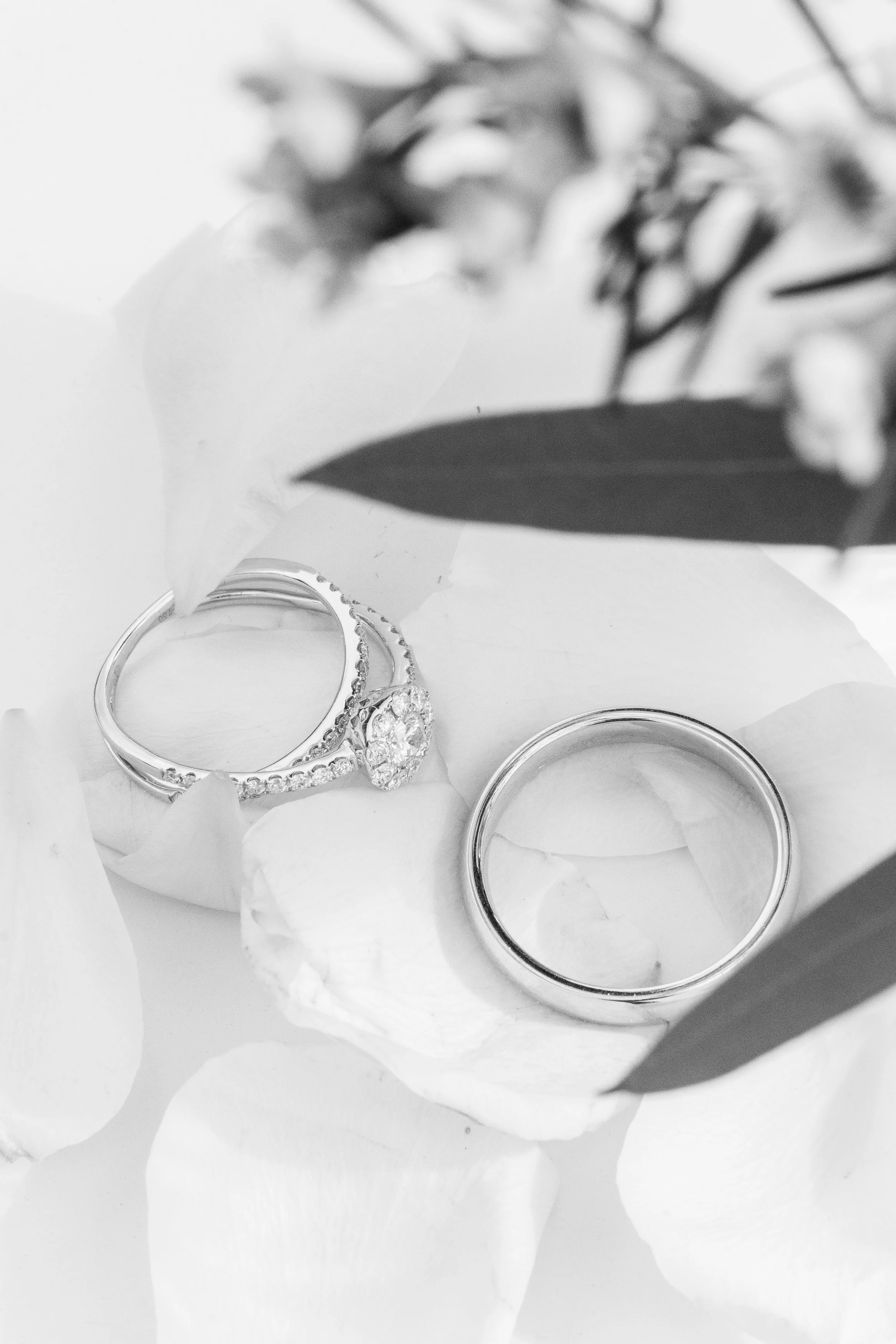 Des bagues en argent ornées de pierres précieuses sont posées sur du papier blanc, avec une fleur et une feuille en arrière-plan, le tout en noir et blanc.