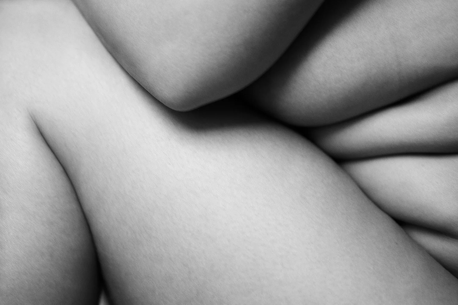 0W8A9549+crop.jpg