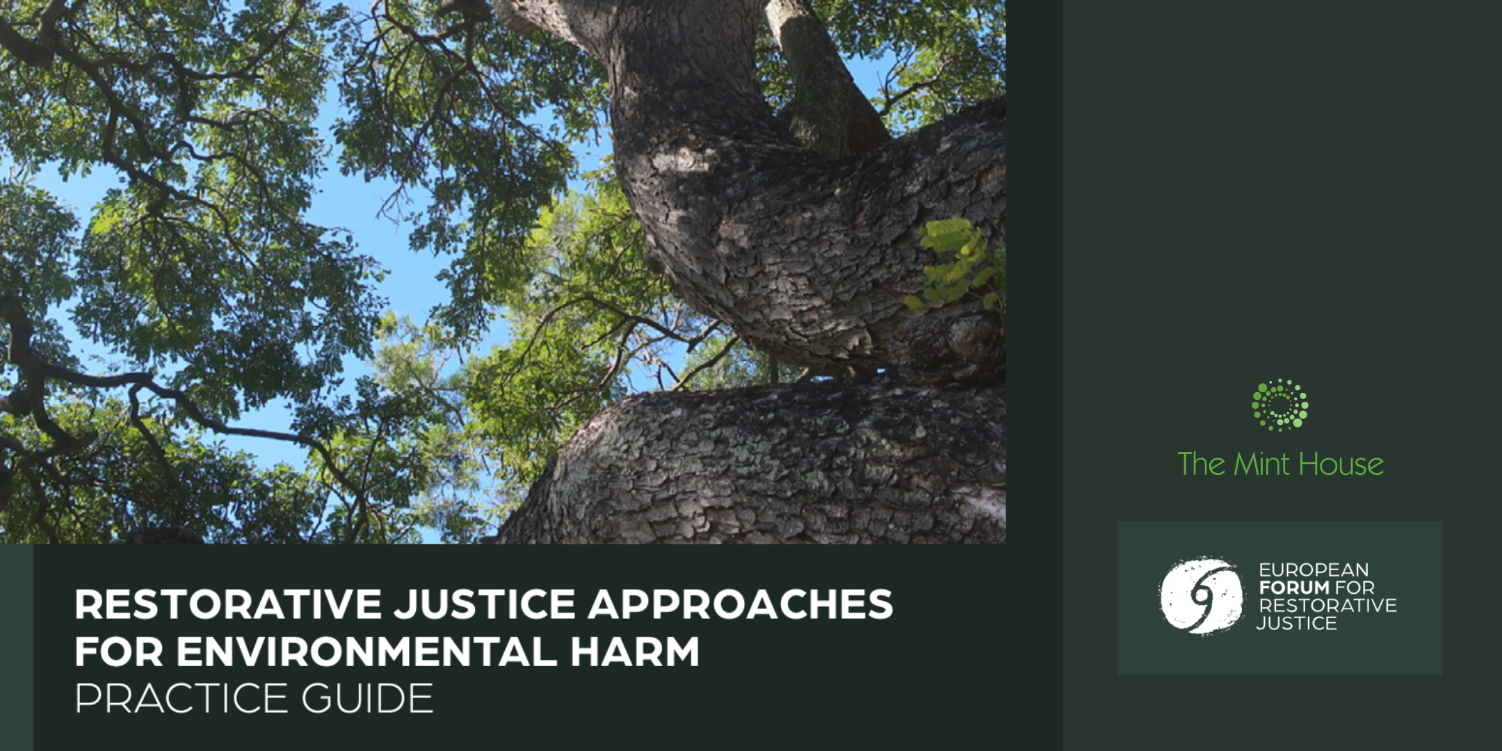 New approaches for responding to environmental harm