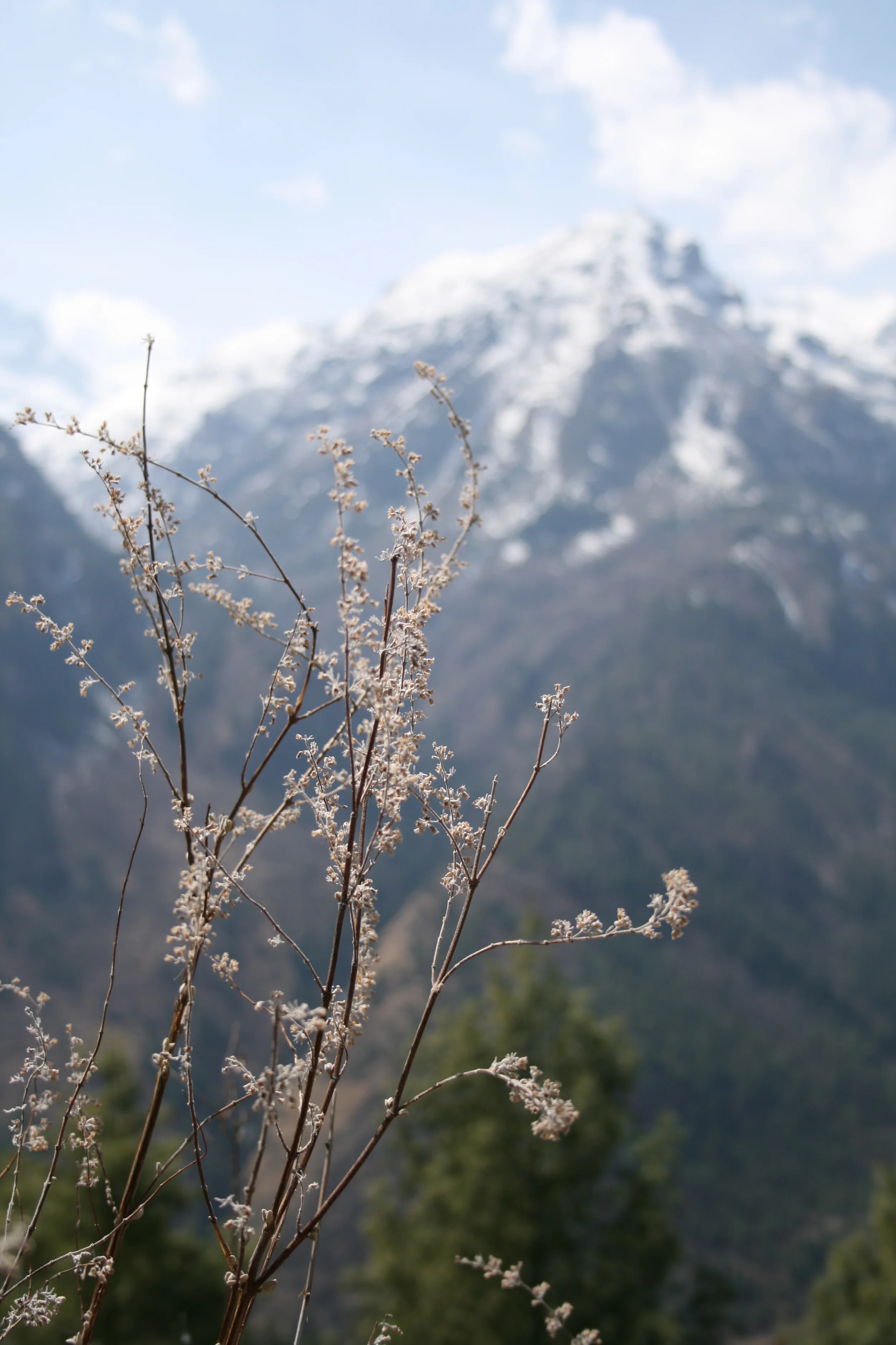 nepal_first_week 138.jpg