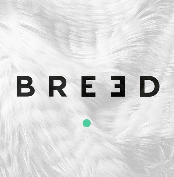 Courtesy of The Breed . 