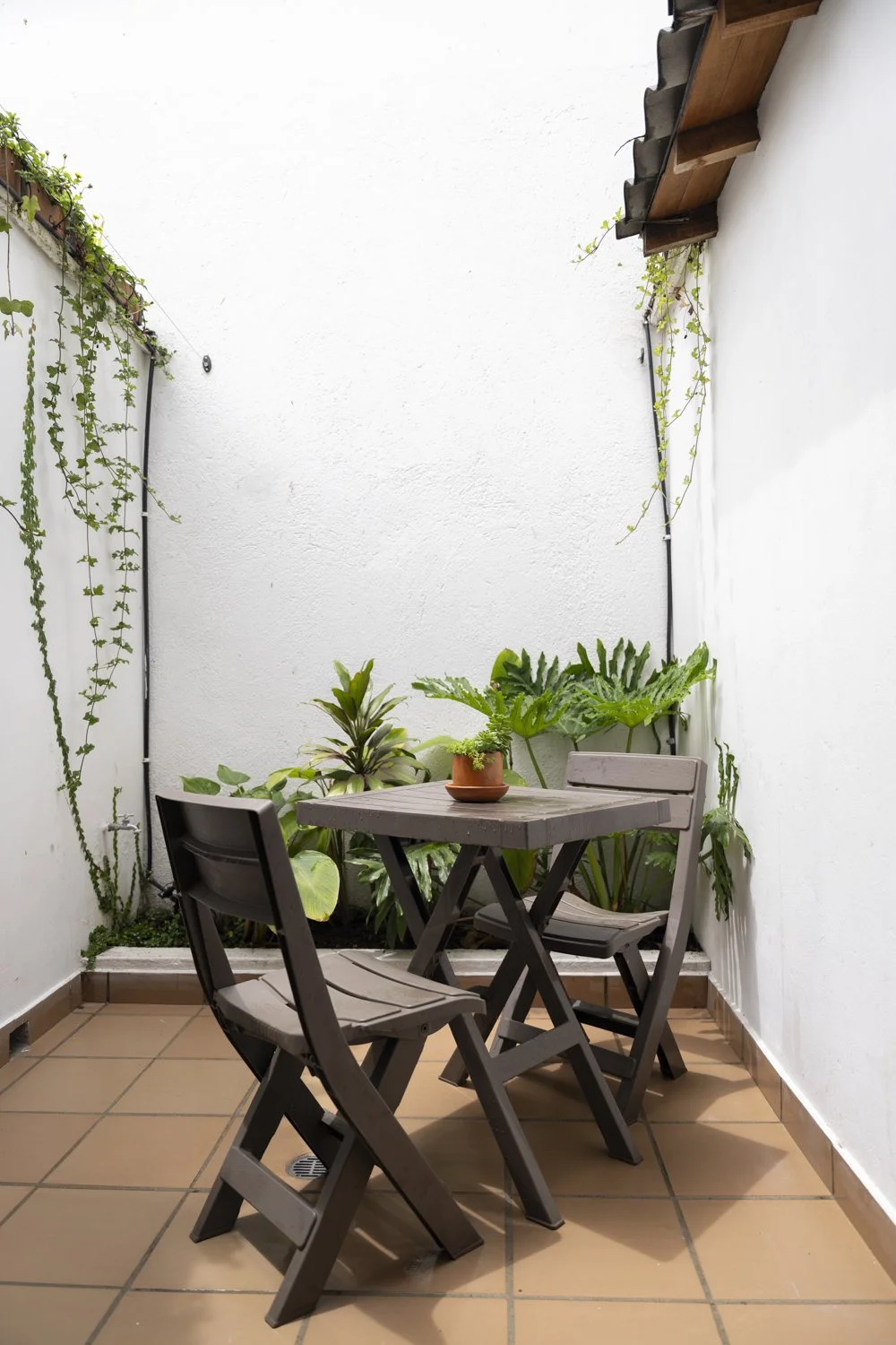 AspenCierraCreative_Nomadico_Caobo-58.jpg
